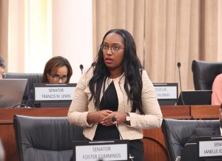 Senator Janelle John-Bates Faces Possible Removal Over Conflict of Interest Concerns