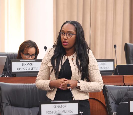 Senator Janelle John-Bates Faces Possible Removal Over Conflict of Interest Concerns