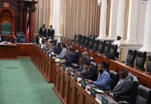 Opposition Senator Challenges Government’s Diplomatic Stance with Venezuela