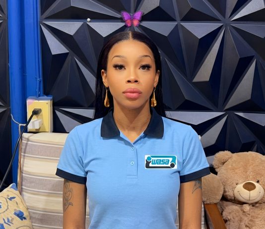 Matara French Defends her WASA Employment Amidst Criticism, Encourages Honest Work