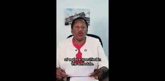 Penny Beckles Claims Democracy Under Threat From New Protest Ban
