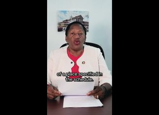 Penny Beckles Claims Democracy Under Threat From New Protest Ban