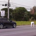 Proman Employee Ricardo Diaz Shot Dead Prompting Police Investigation