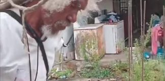 Community Bands Together to Rescue Boa Constrictor in Hardbargain Disruption