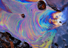 Heritage Petroleum Successfully Contains Offshore Oil Spill in Main Field