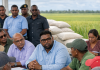 Guyana Allocates Over $3 Billion to Support Rice Farmers