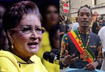 Opposition Leader Condemns Calls for Gang Unity Against Law Enforcement amid Heightened Public Debate