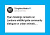 Ryan Gosling’s Comments on Foxes Inspire Community Reflection