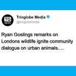 Ryan Gosling’s Comments on Foxes Inspire Community Reflection