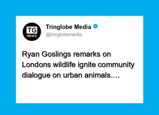 Ryan Gosling’s Comments on Foxes Inspire Community Reflection