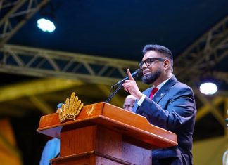 Guyana’s Vision 2030: A Plan for Sustainable Investment
