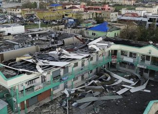 Jamaican Circuit Racing Returns After Hurricane Hiatus