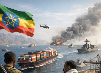 Ethiopia’s Reliance on the Red Sea: A Matter of National Security