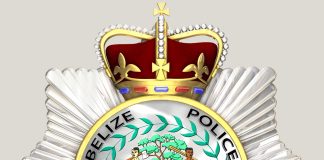Police Officer Wanted for Alleged Assault on Colleague
