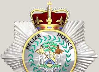 Police Officer Wanted for Alleged Assault on Colleague