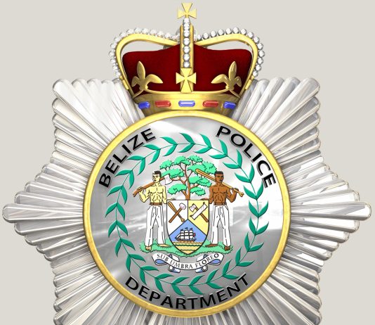 Police Officer Wanted for Alleged Assault on Colleague