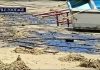 Heritage Petroleum Oil Spill Sparks Cross-Border Environmental Concerns