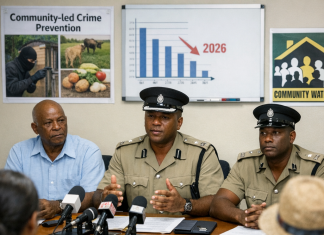 Understanding Property Crimes: Grenadian Police Share Insights