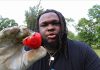 Uncovering the Strawberry’s Shocking Secrets!