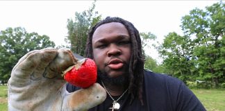 Uncovering the Strawberry’s Shocking Secrets!