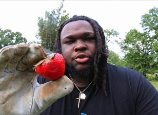 Uncovering the Strawberry’s Shocking Secrets!