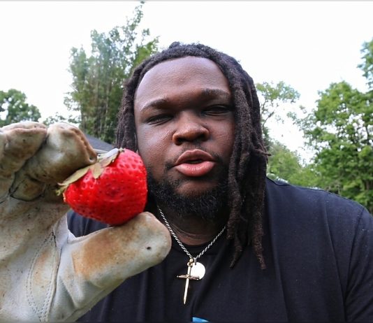 Uncovering the Strawberry’s Shocking Secrets!