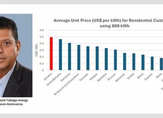 High Electricity Tariffs Threaten Jamaica’s Economic Competitiveness