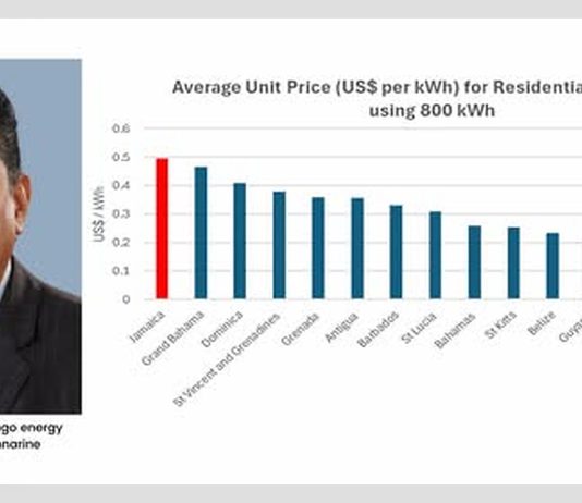 High Electricity Tariffs Threaten Jamaica’s Economic Competitiveness