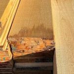 Trinidad and Tobago Sawmill Owners Warned of Severe Penalties for Non-Compliance