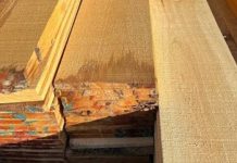 Trinidad and Tobago Sawmill Owners Warned of Severe Penalties for Non-Compliance