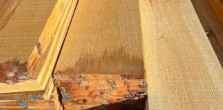 Trinidad and Tobago Sawmill Owners Warned of Severe Penalties for Non-Compliance
