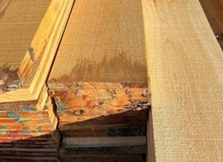 Trinidad and Tobago Sawmill Owners Warned of Severe Penalties for Non-Compliance