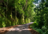 The Historic Road That Opened Northern Trinidad to the Nation