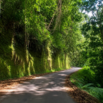 The Historic Road That Opened Northern Trinidad to the Nation