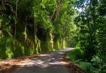 The Historic Road That Opened Northern Trinidad to the Nation
