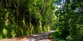 The Historic Road That Opened Northern Trinidad to the Nation