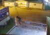 Man’s Miraculous Gate Landing Leaves Social Media Completely Baffled