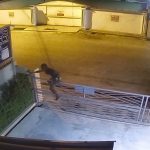 Man’s Miraculous Gate Landing Leaves Social Media Completely Baffled
