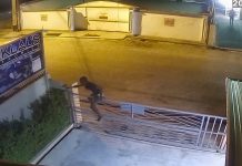 Man’s Miraculous Gate Landing Leaves Social Media Completely Baffled