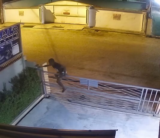 Man’s Miraculous Gate Landing Leaves Social Media Completely Baffled