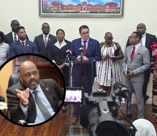 Sturge Urges SOE Extension Amid Political Tensions in Trinidad and Tobago
