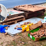 Public Health Alert: Chaguanas Mayor Warns of Risks from Dump-Sourced Potatoes