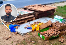 Public Health Alert: Chaguanas Mayor Warns of Risks from Dump-Sourced Potatoes