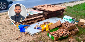Public Health Alert: Chaguanas Mayor Warns of Risks from Dump-Sourced Potatoes