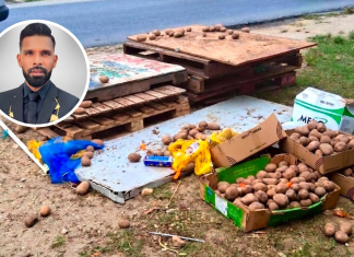 Public Health Alert: Chaguanas Mayor Warns of Risks from Dump-Sourced Potatoes