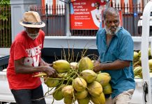 Proposed Coconut Industry Regulations Stir Concerns Among Small Producers