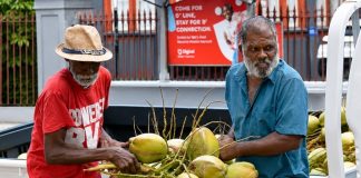 Proposed Coconut Industry Regulations Stir Concerns Among Small Producers