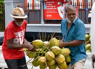 Proposed Coconut Industry Regulations Stir Concerns Among Small Producers