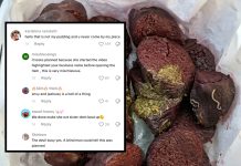Business Owner Refutes Claims in Viral ‘Worms in Pudding’ Video