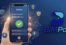 BiMPay Launch: Central Bank’s New Digital Payment Solution Arrives Soon